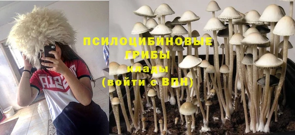 мяу мяу мука Бронницы