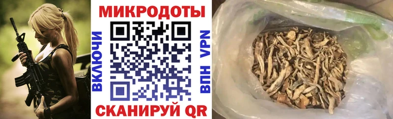 Псилоцибиновые грибы мухоморы где найти наркотики Северск